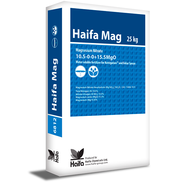 HAIFA MAG 10,5-0-0+15,5 saco de 25 Kilos